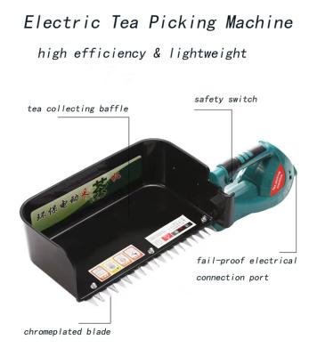 China Rechargeable Tea Tree Plucking Machine With Protable Electric Suit à venda