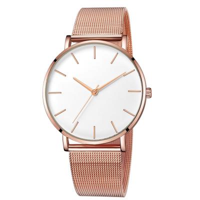 China DIVER Yishi Business Casual Dress Ladies New Simple And Sensitive Scale Mesh Strap Watch for sale