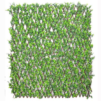 China Home and Garden Deocration Alliance PE Plastic Buxus Expandable Garden Willow Fence for sale