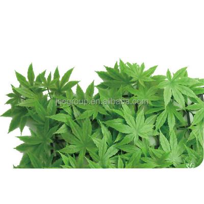 China Home and garden deocration wall plastic hedge plants artificial green maple fence for sale