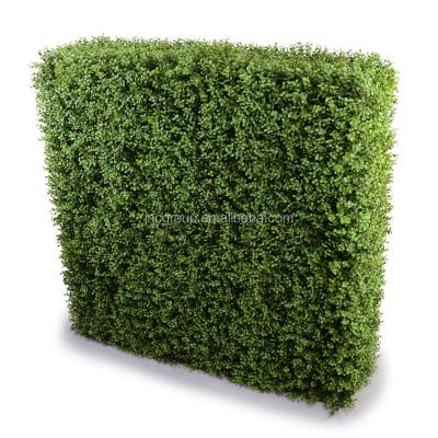 China garden & New Home Decoration Alliance PE Artificial Leaves Hedge Fence for sale