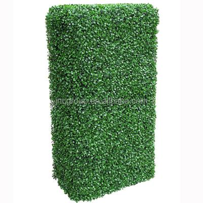 China Easily Assembled Multicolor Green Plastic Trellis Garden Fence for sale