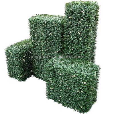 China Easily Assembled Plastic Artificial Plants Boxwood Hedge for sale