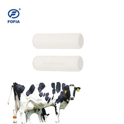 China Professional Ceramic Rumen Bolus Tag 134.2khz For Animal Manegement for sale