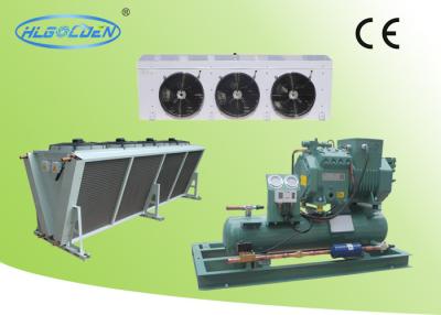 China Cold room storage room air cooled Bitzer condensing unit with air cooler for sale