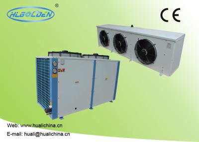 China 9~50kw Low Temperature Chiller With R404a For Cooling Meat Storage Room With High Efficient Compressor for sale