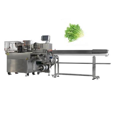 China Horizontal Plastic Film Fresh Fruit Vegetable Packing Machine for sale