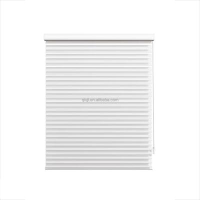 China Shading Dustproof Mouldproof Home Smart Motorized Day And Night Blind Roller Shades For Double Windows Living Room Bedroom Shangri-La Seated Pure Blind for sale