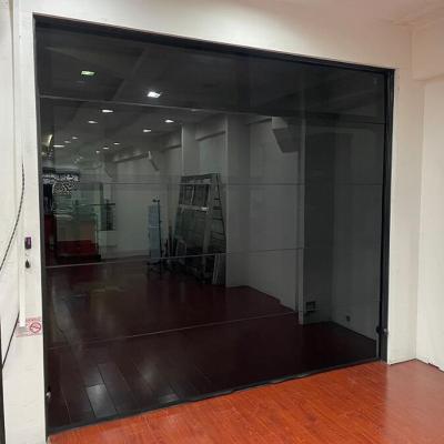 China High Quality Commercial Customized Modern Type Anti Theft Mirror Garage Glass Door for sale