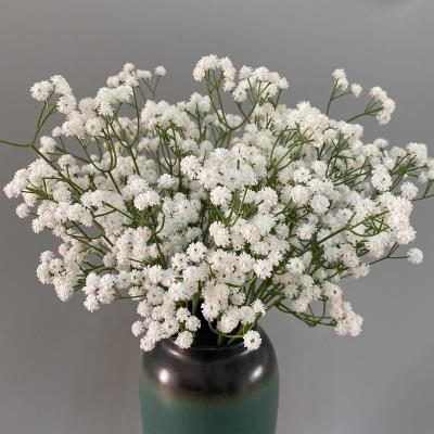 China Modern Wholesale Floral Multiple Color Real Touch Gypsophila Artificial Flower Wedding Gypsophila for sale