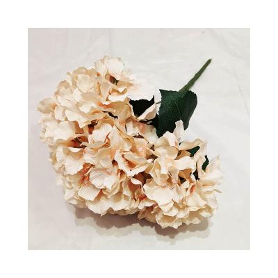 China Modern Modern Simplicity Large Petal 5 Heads Artificial Hydrangea Flower Groups for sale