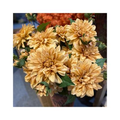 China 2022 Elegant New Designed Decorative Artificial Flower Dahlia Heads Modern Simplicity Real Touch Artificial Flower for sale