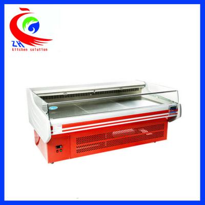 China 220V 50Hz Refrigeration Equipment  Industrial Refrigerator Freezer for sale