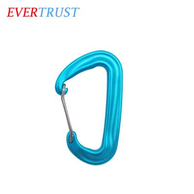 China Promotion Gifts Hot Selling High Quality Custom Strong Wire Door Carabiner For Hammock for sale