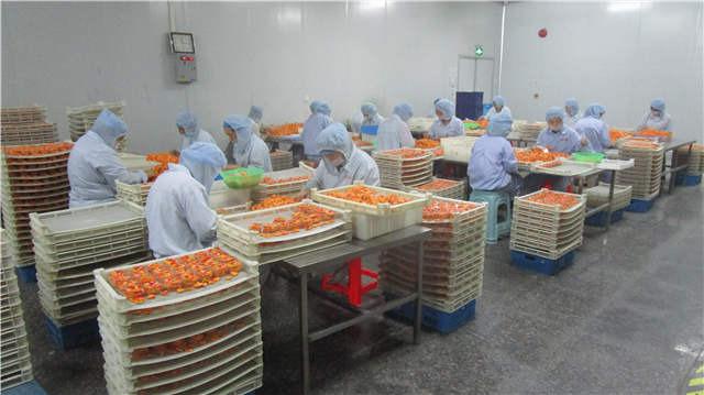 Verified China supplier - Hebei Xiaoxixi Food Science And Technology Co., Ltd.