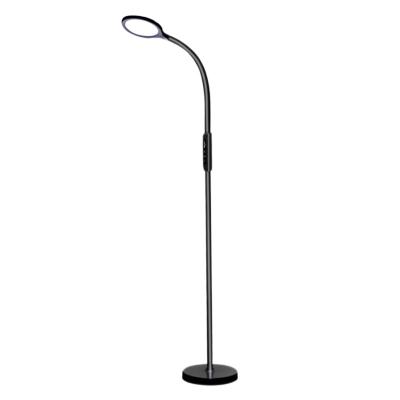 China Modern Metal LED Modern Touch Control Remote Control Floor Lamp for Study Room Living Room and Bedroom for sale