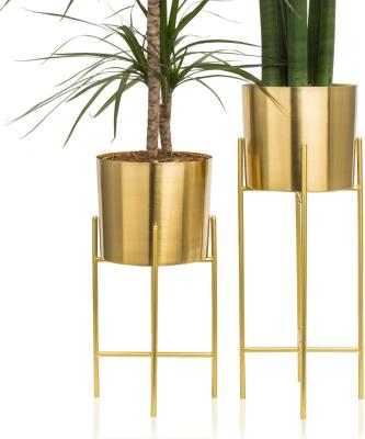 China RUIMEI Viable SMART Gold Plant Stand Planter Floor-standing Shelf, Plant Gold Pot Stand for sale