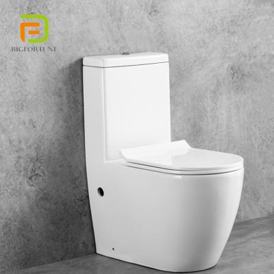 China Double-flush Luxury Modern Bathroom Sanitary Set One Piece Toilet Bowl for sale