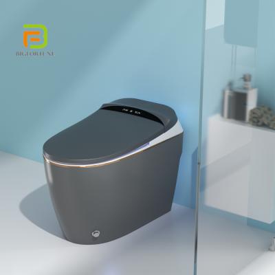 China Automatic Operation Intelligent Sanitary Ware Full Automatic Inductive Smart Toilet for sale