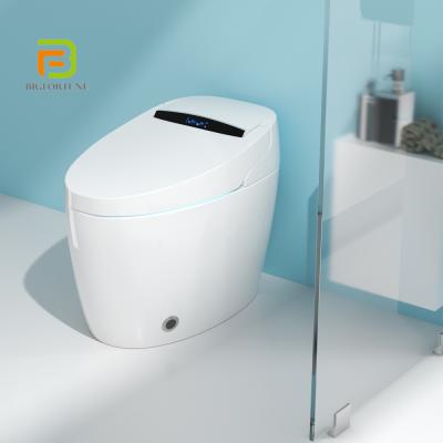 China Automatic Operation Style Luxury European Style Automatic Motion Sensor Flush One-piece Smart Toilet for sale