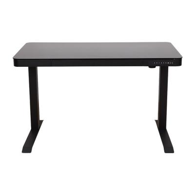 China Modern Adjustable (Height) Computer Desks Sit Stand Height Adjustable Electric Desk For Sale for sale