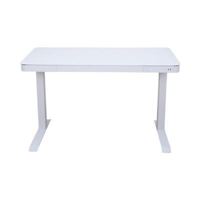 China (Height) OEM Custom Adjustable Height Desktop White Glass Desk with 4 Speed ​​Memory Size + 2USB Interface for sale