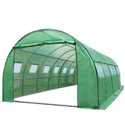 China Professional Indoor Outdoor Film Tunnel Greenhouses 6X3 Film Flower Vegetable Growing Design Hydroponic Greenhouse Grow Tent for sale