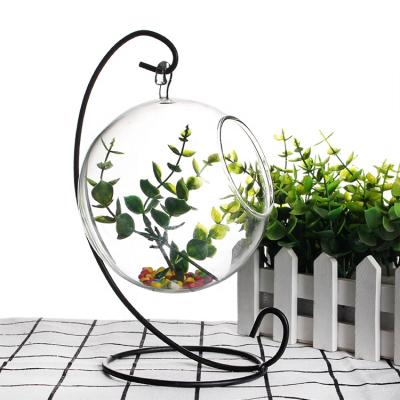 China Customized Borosilicate Glass Vase Plant Mini Greenhouse with Metal Stand, 1 Globe for sale