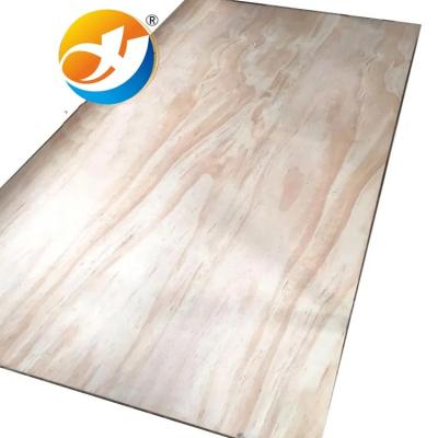 China Contemporary Wholesale Radiata pine Plywood sheet 4x8 ft  pine wood plywood ,  pine plywood for sale for sale