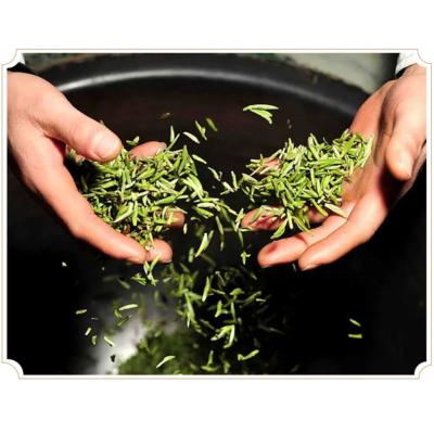 China 100% Natural/High Quality/Hot Launch Longjing Green Tea New Product Longjing Scented Before Rain Green Tea for sale