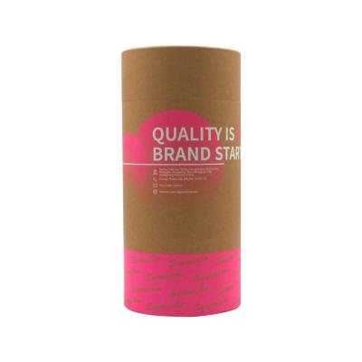 China Factory Price Biodegradable Craft Biodegradable Packaging Eco Skin Care Customized Paper Empty Tube for sale