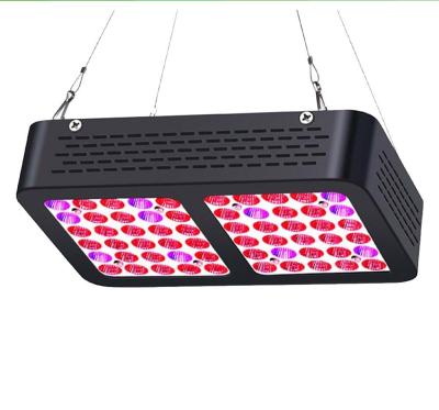 China Custom FLOWER Double Core Plant Lamp 300W Full Spectrum Full Spectrum Fruit Slimming LED Grow Lamp for sale