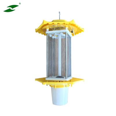 China Factory Supply Viable Direct Pest Killing Lamp Solar Trap Lamp Electric Mosquito Kills for sale