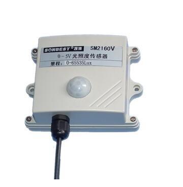 China SM2160V Voltage-illumination instrument Light sensor Illuminance meter for sale