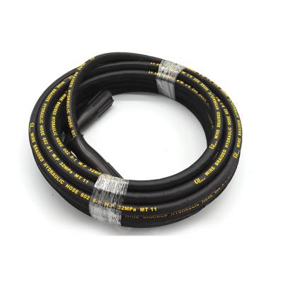 China 200Mpa Ultra High Pressure Car Water Cleaner Seal Rubber Hose SYHPH-03 for sale