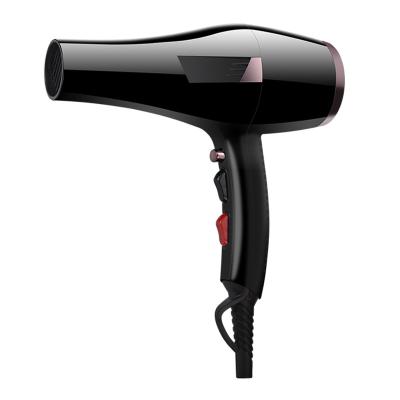 China Other Wholesale Professional AC DC Motor Iron Hair Dryer Fashion Customize Multi Functional Quiet Hair Dryer for sale