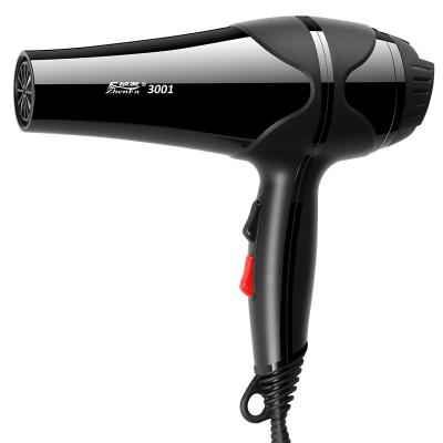 China 2019 Ionic New Style ZF-3001 Hair Dryer Hair Salon Blower Fan Hair Dryer for sale