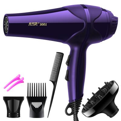 China Hot Selling Custom LOGO Hair Salon Blower Ionic Professional AC Motor Blow DC Ionic Hair Dryer for sale