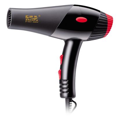 China Hair Salon Hair Dryer Travel Ionic Blowdryer ZF-5824 for sale