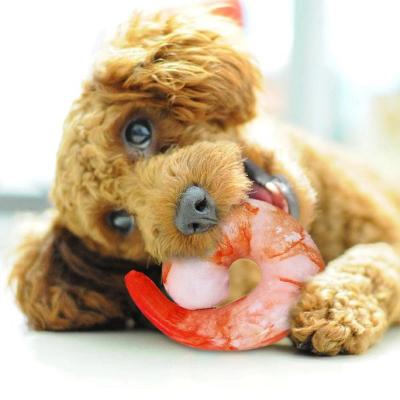 China Wholesale Viable Simulation Dog Food OEM Squeaky Toys Dog Toys Pet Chew Toys for sale