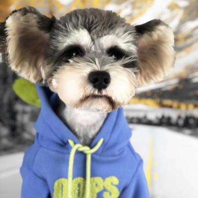 China Sustainable Dogs Cloth Pet Clothes Clothing Dog Fashions Pet Clothes Winter Dog Clothes From China for sale