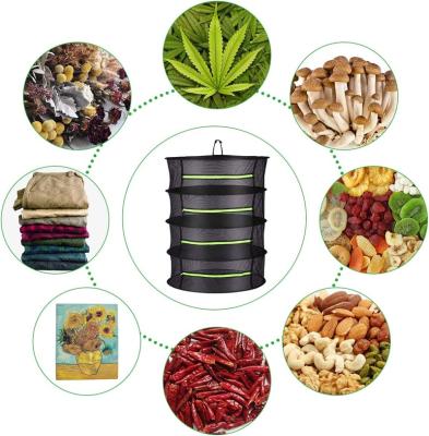 China Easily Assembled Hydroponic Hanging Growing Dry Rack 6 Layers 4 Layers Grow Herb Drying Net Tent Carry Bag for sale