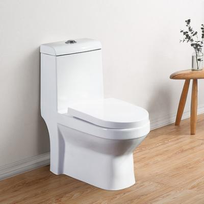 China Double-flush Goode Price One Piece Bathroom Toilet Down Wash Toilet For Middle East Market for sale