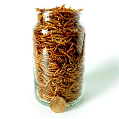 China High Viable In Natural Premium Quality Dried Mealworm Mealworm Yellow Mealworm Food For Tilapia for sale