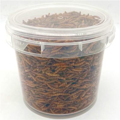 China Viable All Natural High Protein Pet Snack Yellow Mealworms No Sugar Pet Healthy Feed Additives for sale