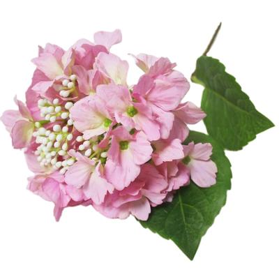 China Daily Wholesale Stem Flower Mini Artificial Flower Wedding Environmental Home Decor Flower With Seeds Artificial Silk Hydrangea for sale