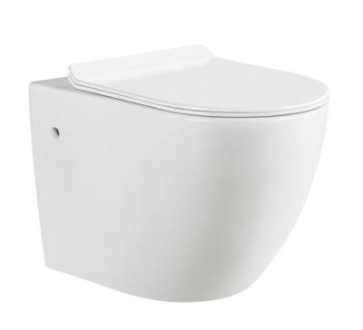 China Modern Luxury Bathroom Space Saving Toilet Bowl Toilet Hanging WC Back to Wall Rimless Toilet for sale