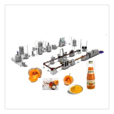 China Turnkey Fresh Pumpkin Pumpkin Power Generation Line For Sale for sale