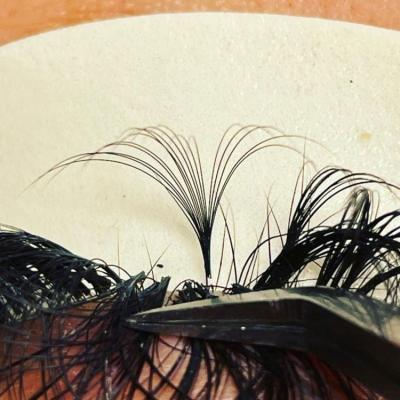 China Free Samples Natural Soft Silk Super Mink False Eyelashes Extension Preme Quality False Eye Lashes Extensions for sale