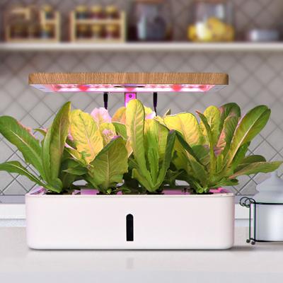 China Smart Factory Customized LED Garden Herb Greenhouse Indoor Planters Hydroponic Growing Systems for sale